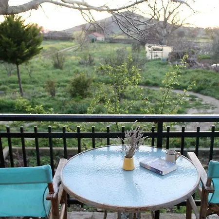 Holiday home σαρδές λήμνου, πέτρινο σπίτι 90τμ, οικόπεδο 4000τμ