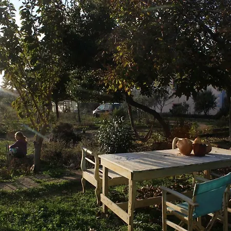 σαρδές λήμνου, πέτρινο σπίτι 90τμ, οικόπεδο 4000τμ *